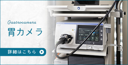 胃カメラ
